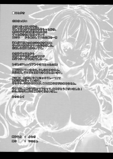 (C87) [Anmitsuyomogitei (Michiking)] Hasande Kudasai Okuu-chan! (Touhou Project) [English] {KFC Translations} - page 25