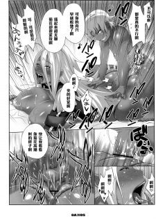 (C74) [TETRODOTOXIN (Nise Kurosaki)] Garnet-San no Ouji-Sama Ikusei DS (Dragonaut) [Chinese] [黑条汉化] - page 19