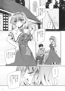 (C87) [Reverse Noise (Yamu)] Loose Strings 3 (Touhou Project) - page 4
