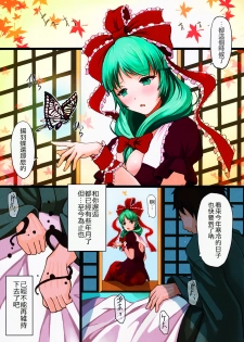 (C85) [dream-mist (sai-go)] The End of Dream (Touhou Project) [Chinese] [oo君の個人漢化] - page 3