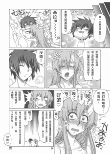 (C73) [GOLD RUSH (Suzuki Address)] A Diva of Healing IV (Gundam SEED DESTINY) [Chinese] [graviton个人汉化] - page 26