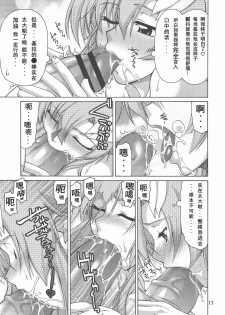 (C73) [GOLD RUSH (Suzuki Address)] A Diva of Healing IV (Gundam SEED DESTINY) [Chinese] [graviton个人汉化] - page 17