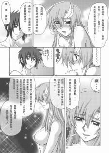 (C73) [GOLD RUSH (Suzuki Address)] A Diva of Healing IV (Gundam SEED DESTINY) [Chinese] [graviton个人汉化] - page 11