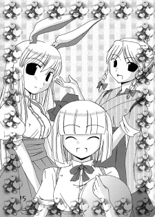 (C67) [Natsu no Umi (Natsumi Akira)] Mago nimo Ishou (Touhou Project) - page 14