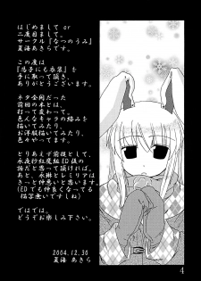 (C67) [Natsu no Umi (Natsumi Akira)] Mago nimo Ishou (Touhou Project) - page 3