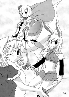 (C67) [Natsu no Umi (Natsumi Akira)] Mago nimo Ishou (Touhou Project) - page 13