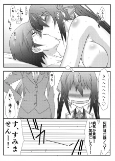 (C85) [STUDIO TRIUMPH (Mutou Keiji)] Astral Bout Ver. 27 (IS <Infinite Stratos>) - page 21