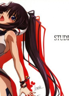 (C85) [STUDIO TRIUMPH (Mutou Keiji)] Astral Bout Ver. 27 (IS <Infinite Stratos>)