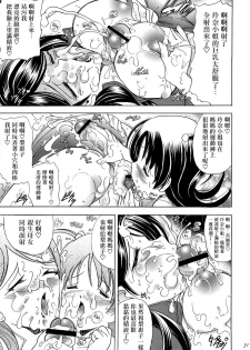 (C70) [Kawaraya Honpo (Kawaraya A-ta)] Hana - Maki no Juuni - Hana no Yaiba (Witchblade) [Chinese] [扶毒分部] - page 30