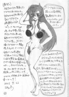 [Nihon ja Nibanme da! (Hayakawa Ken)] Zaft Television (Kidou Senshi Gundam SEED DESTINY) - page 24