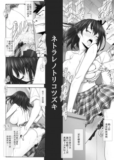 (C95) [IRODORI (SOYOSOYO)] Netorare no Toriko Tsuzuki [Chinese] [寂月汉化组] - page 4