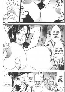 (C94) [RED FARMER (Aka Shirt Seisansha)] ROBIN'S HOLE (One Piece) [English] [CrowKarasu] - page 5