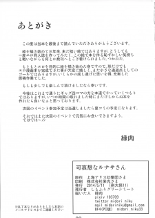 (Reitaisai 11) [Shimofuri Green Meat (Midori Niku)] Kawaisou na Lunasa-san (Touhou Project) - page 32
