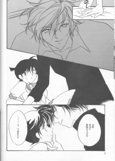 [MISTER (Hara Nao-to)] Kagayai usagi (Detective Conan) - page 28