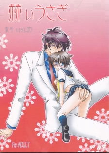 [MISTER (Hara Nao-to)] Kagayai usagi (Detective Conan) - page 1
