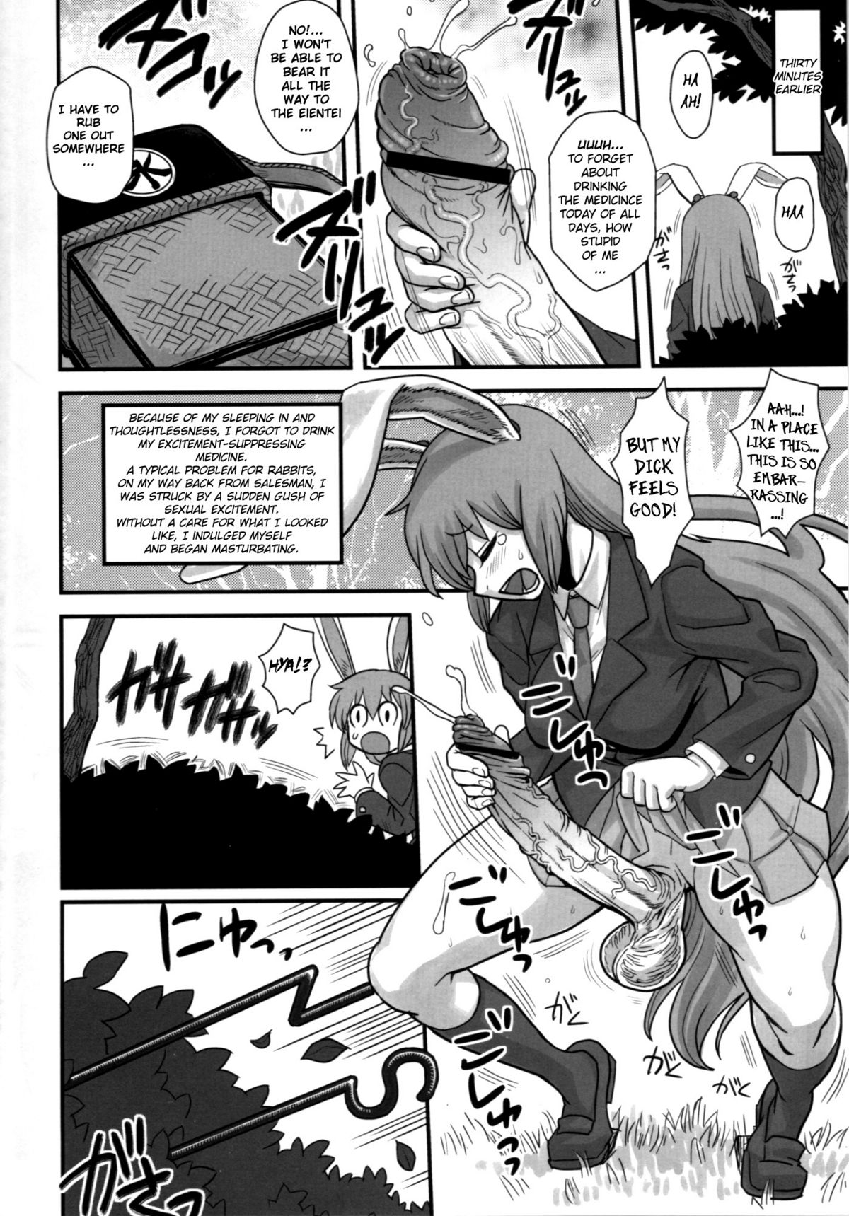 (C77) [Kakumei Seifu Kouhoushitsu (Kamiya Suzuka, RADIOHEAD)] Lunatic Udon (Touhou Project) [English] [biribiri] page 3 full