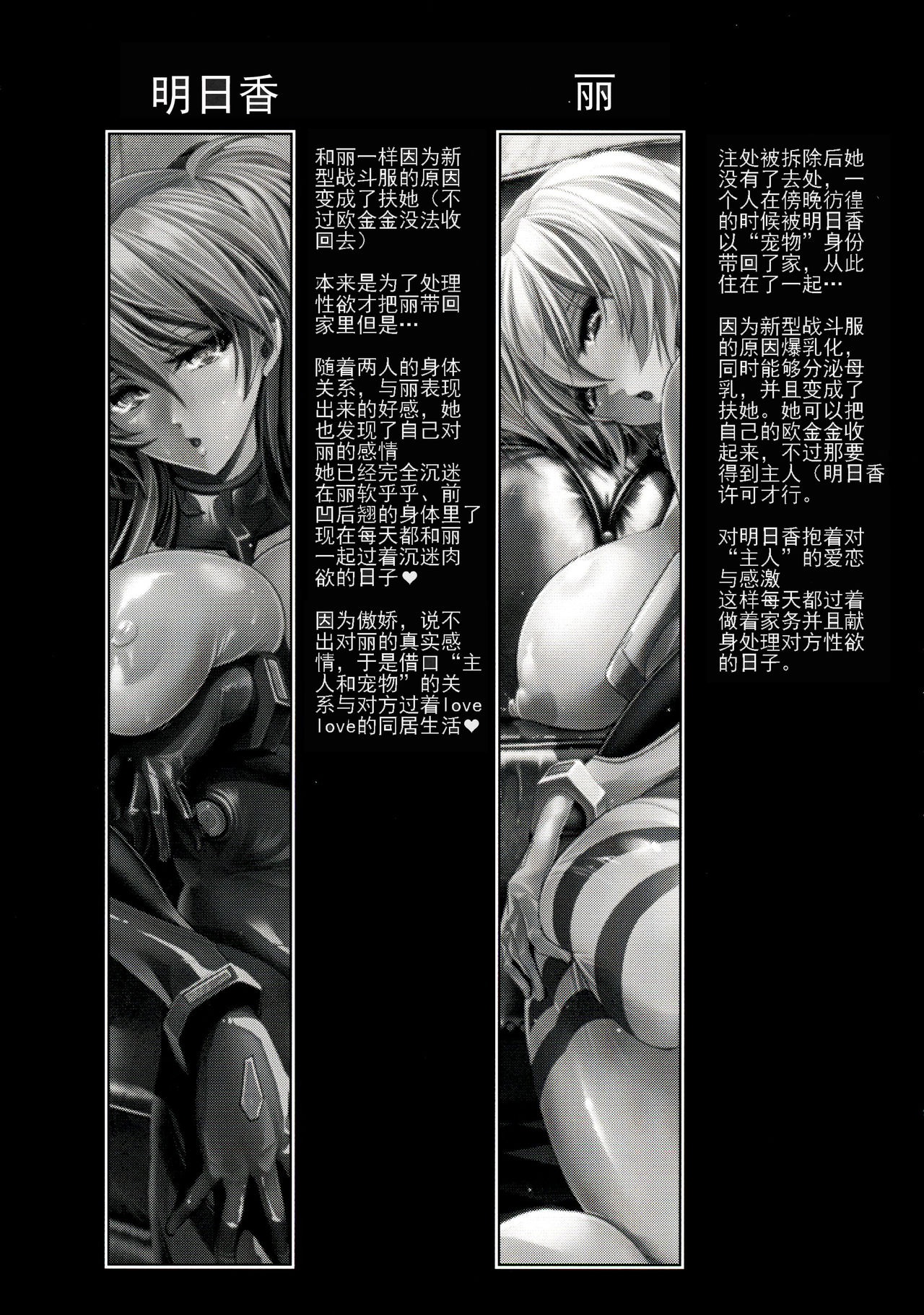 (C86) [Kawaraya Honpo (Kawaraya A-ta)] Wokurimono (Neon Genesis Evangelion) [Chinese] [devi354个人汉化] page 4 full