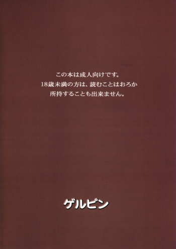(C75) [Gerupin (Minazuki Juuzou)] Hakkou Hime to Tsuntsun Megane (Gundam 00) [Chinese] [沒有漢化] - page 18