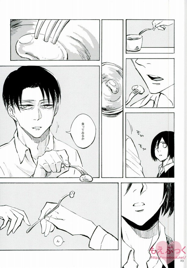 (Dai 3 Kai Hekigai Chousa Haku) [QuintalLagosta (ebgr)] Naku Kamo Shirenai (Shingeki no Kyojin) page 21 full