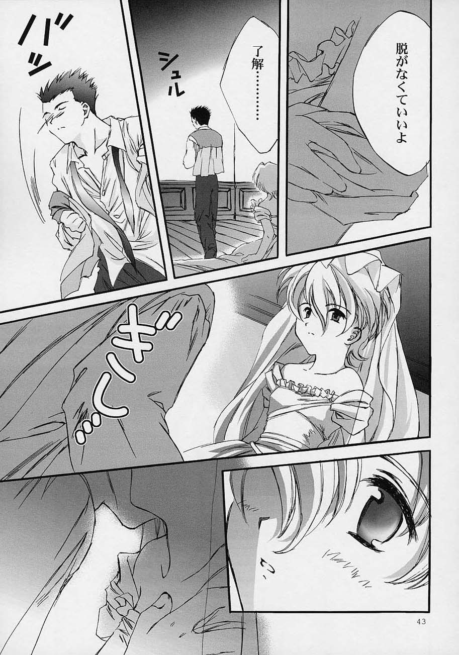 (C59) [LUNAFAIRYMIENA (Usagi)] LFM -refine- (Sakura Taisen) page 42 full