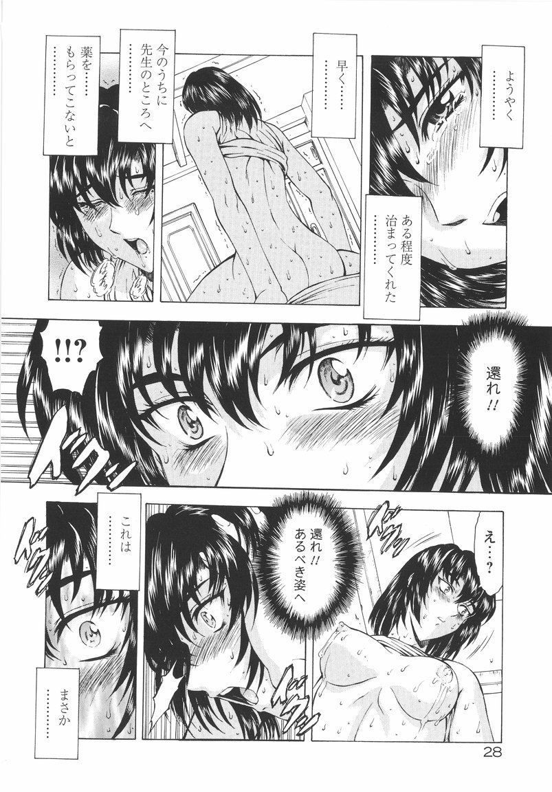 [Mukai Masayoshi] Ginryuu no Reimei Vol. 1 page 30 full