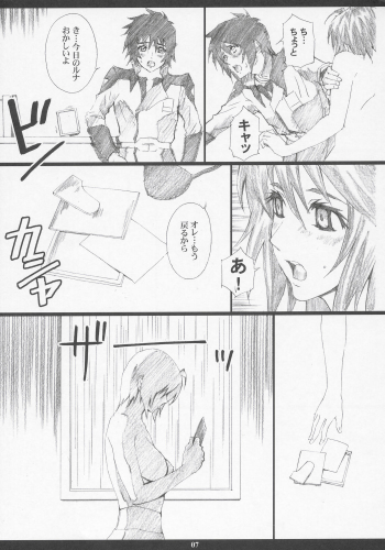 (C68) [M (Amano Ameno)] GseedM (Gundam SEED DESTINY) - page 6