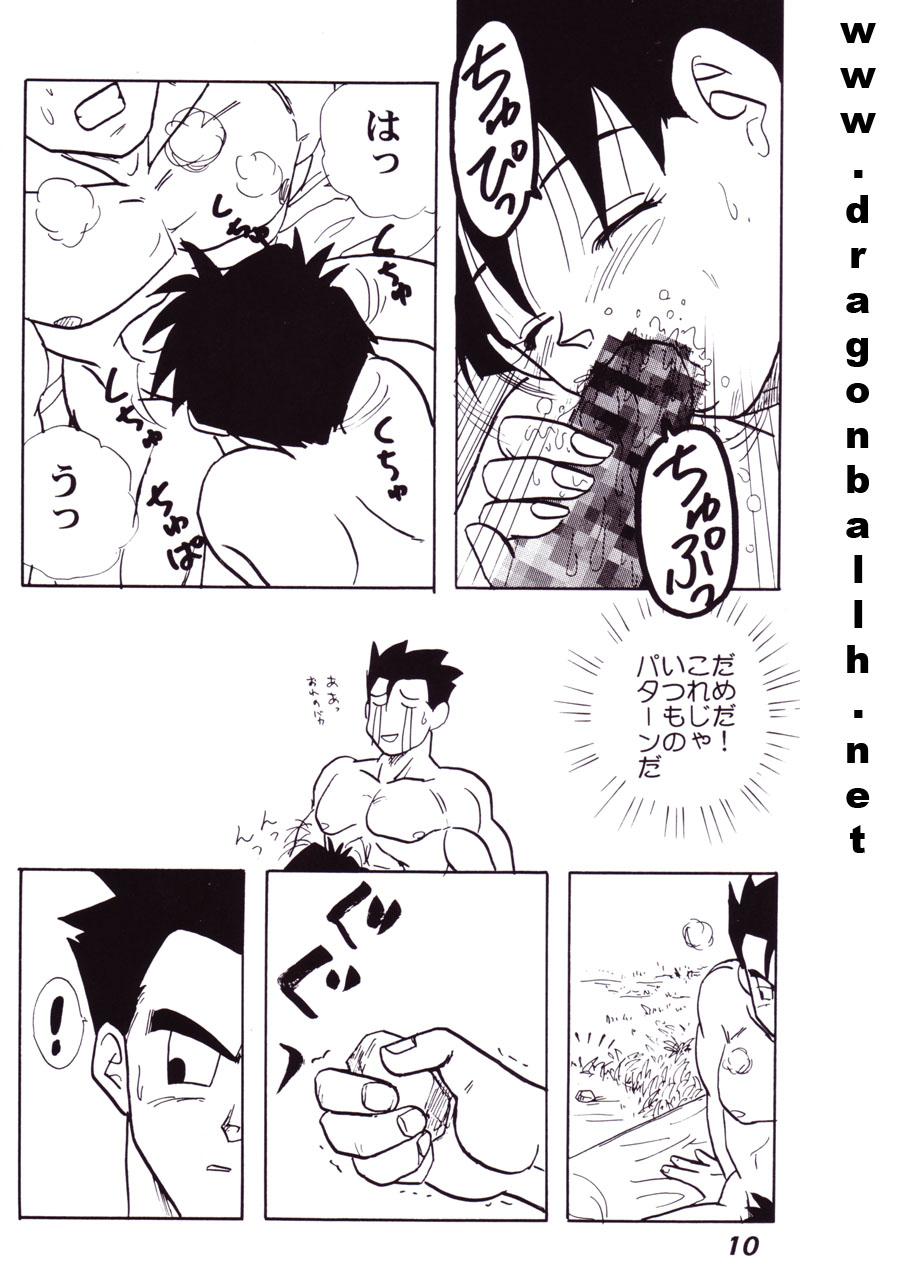 (C52) [Fusuma Goten (Shouji Hariko)] Irohani (Dragonball Z) page 10 full