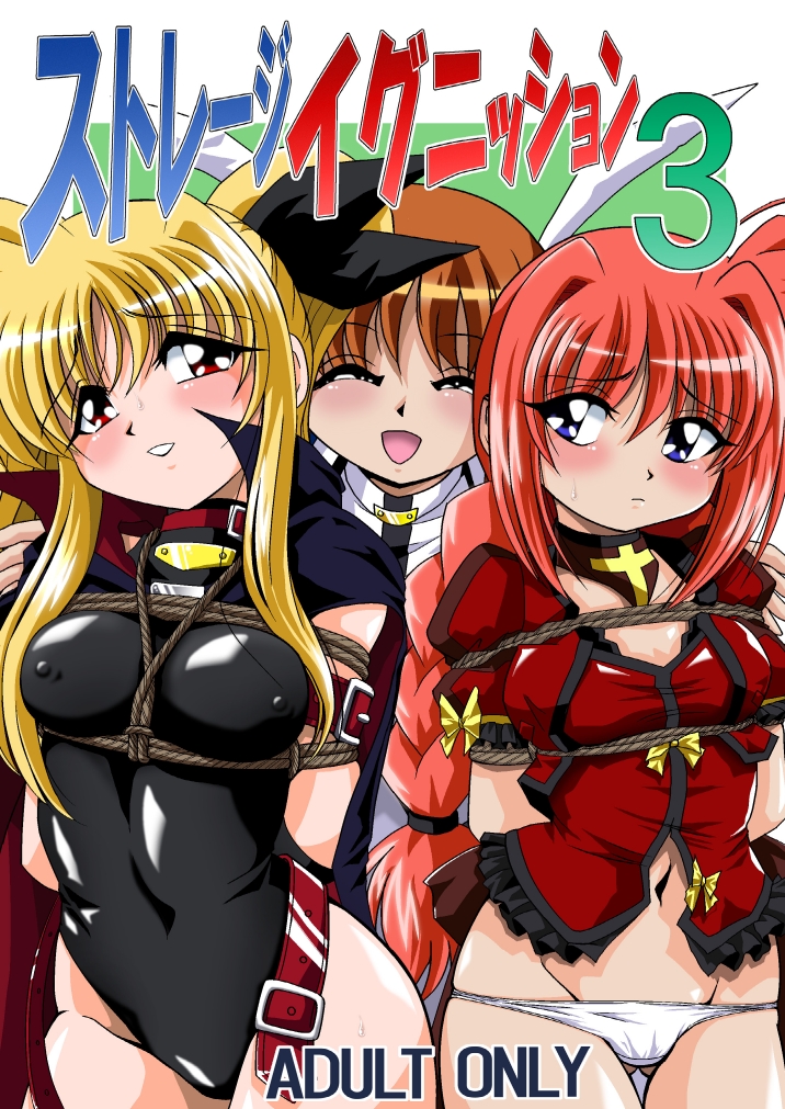 [Thirty Saver Street 2D Shooting] Storage Ignition 3 (Mahou Shoujo Lyrical Nanoha / Magical Girl Lyrical Nanoha) page 1 full