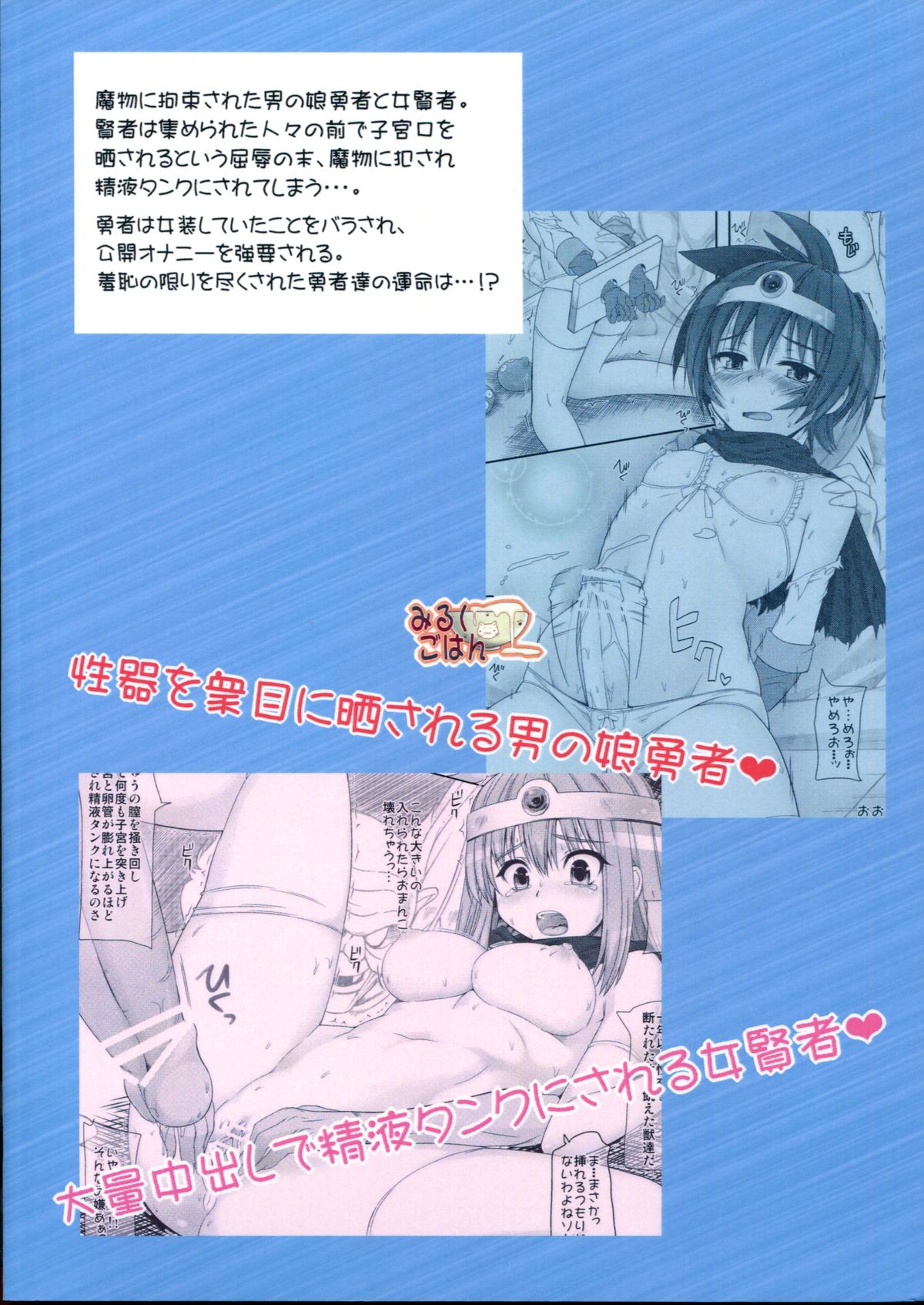 (COMIC1☆7) [Milk Gohan (Aita Nikov)] Otokonoko Yuusha to Onna Kenja (Dragon Quest III) page 2 full