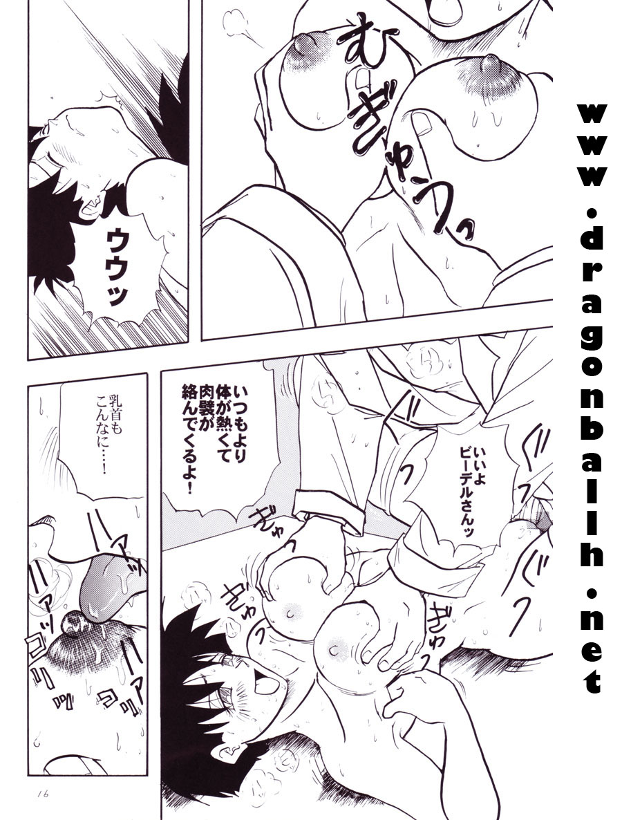 [Shouji Haruzo] Dragon Ball Z - Wakayo page 17 full