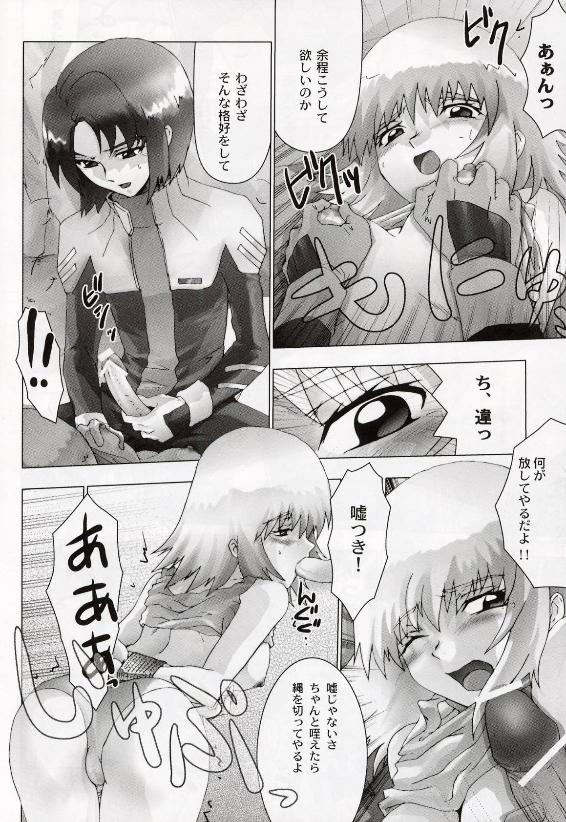 (C64) [Toluene Ittokan (Pierre Norano, Shinagawa Ham)] Ketsu Megaton Seed (Gundam Seed) page 9 full