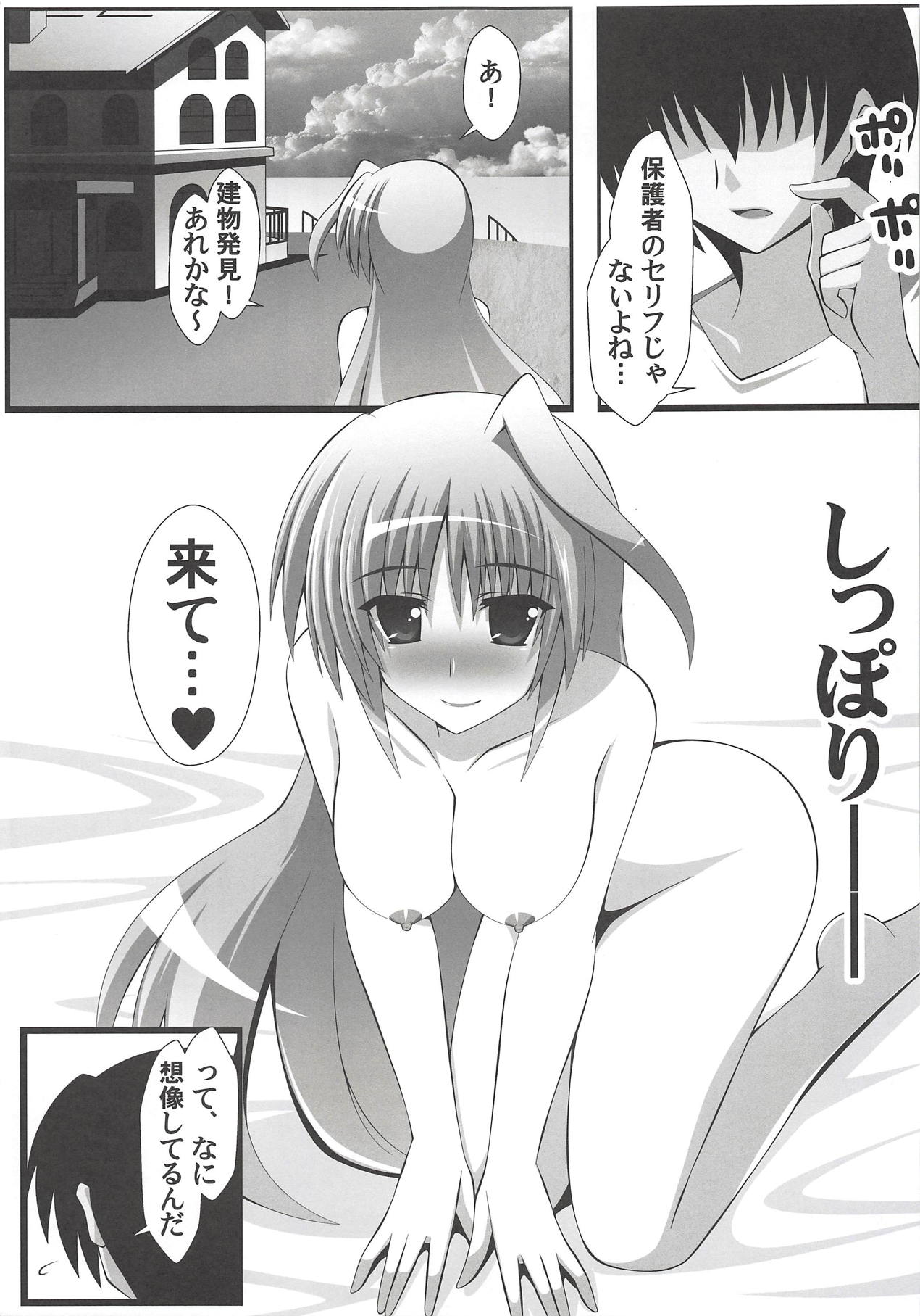 (C94) [Aquarius Gate (Engo)] Eins to Physical Unison (Mahou Shoujo Lyrical Nanoha) page 4 full