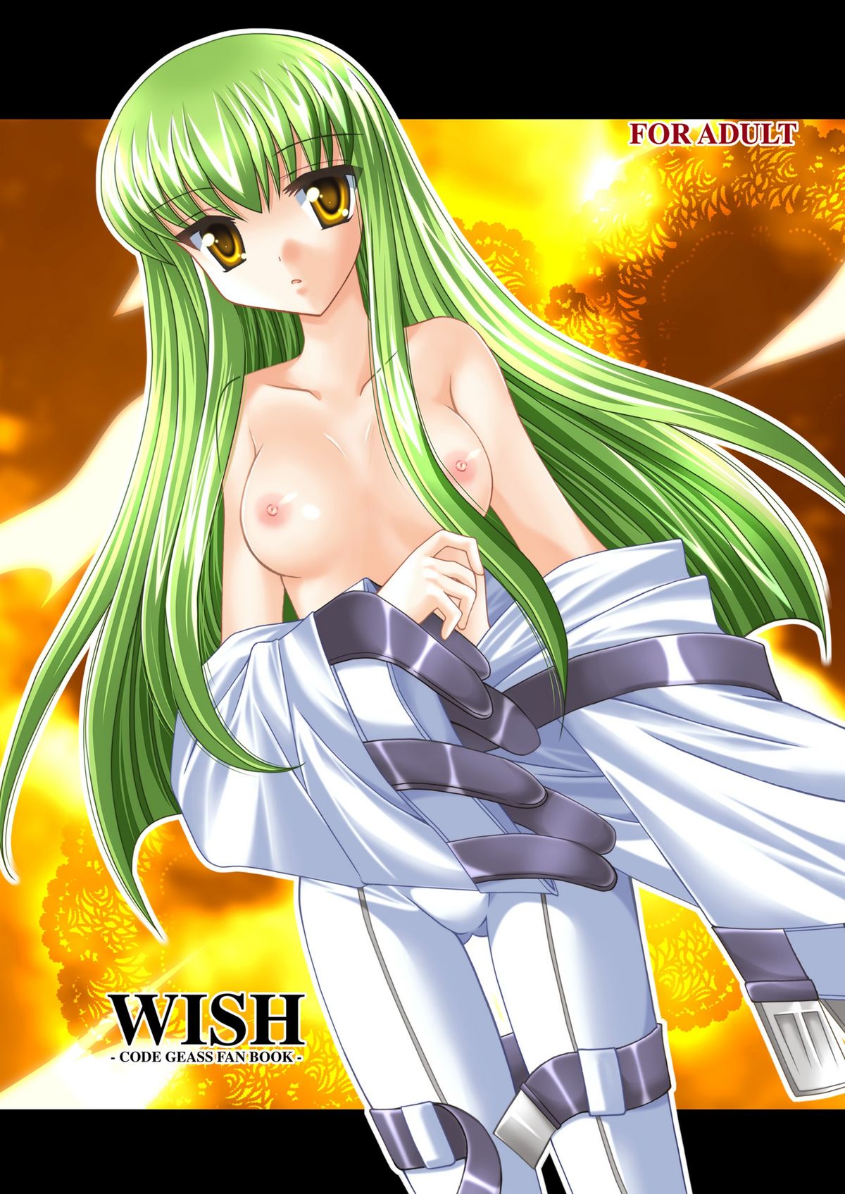 [ARC (Tamagawa Yukimaru)] WISH (Code Geass) page 1 full