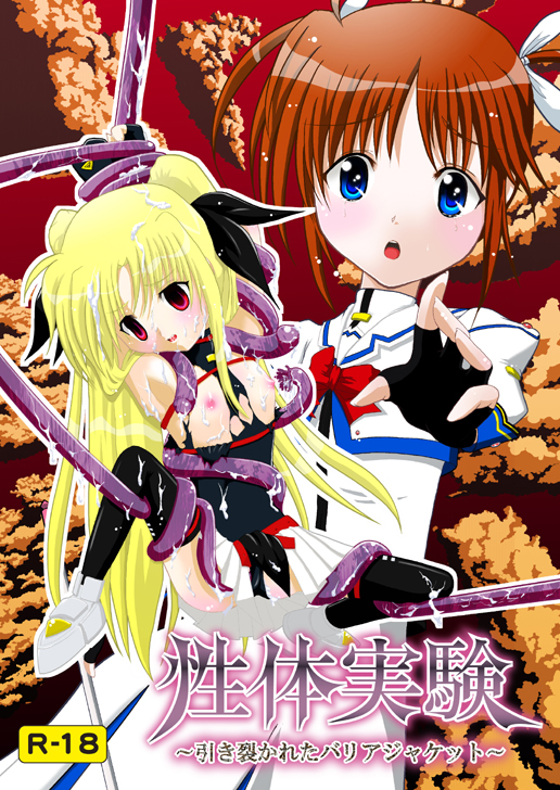 (C78) [Choco Mint] Seitei Jikken ~Hikisa Kareta Barrier Jacket~ (Magical Girl Lyrical Nanoha) page 1 full