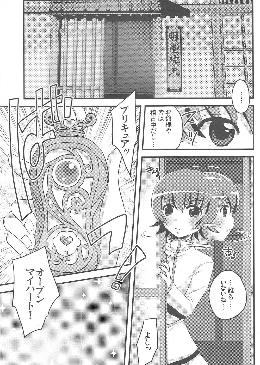 (C79) [Tou*Nan*Tou (Arata Mai)] Kimi no Kozue, Boku no Kage (Heart Catch Precure!) page 4 full