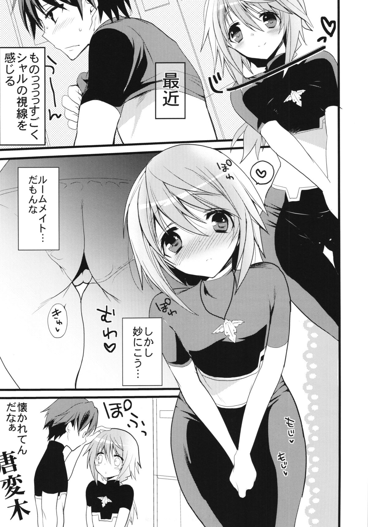 (C81) [Otona Shuppan (Hitsuji Takako)] Infinite ☆ Seicross 2 (IS <Infinite Stratos>) page 13 full