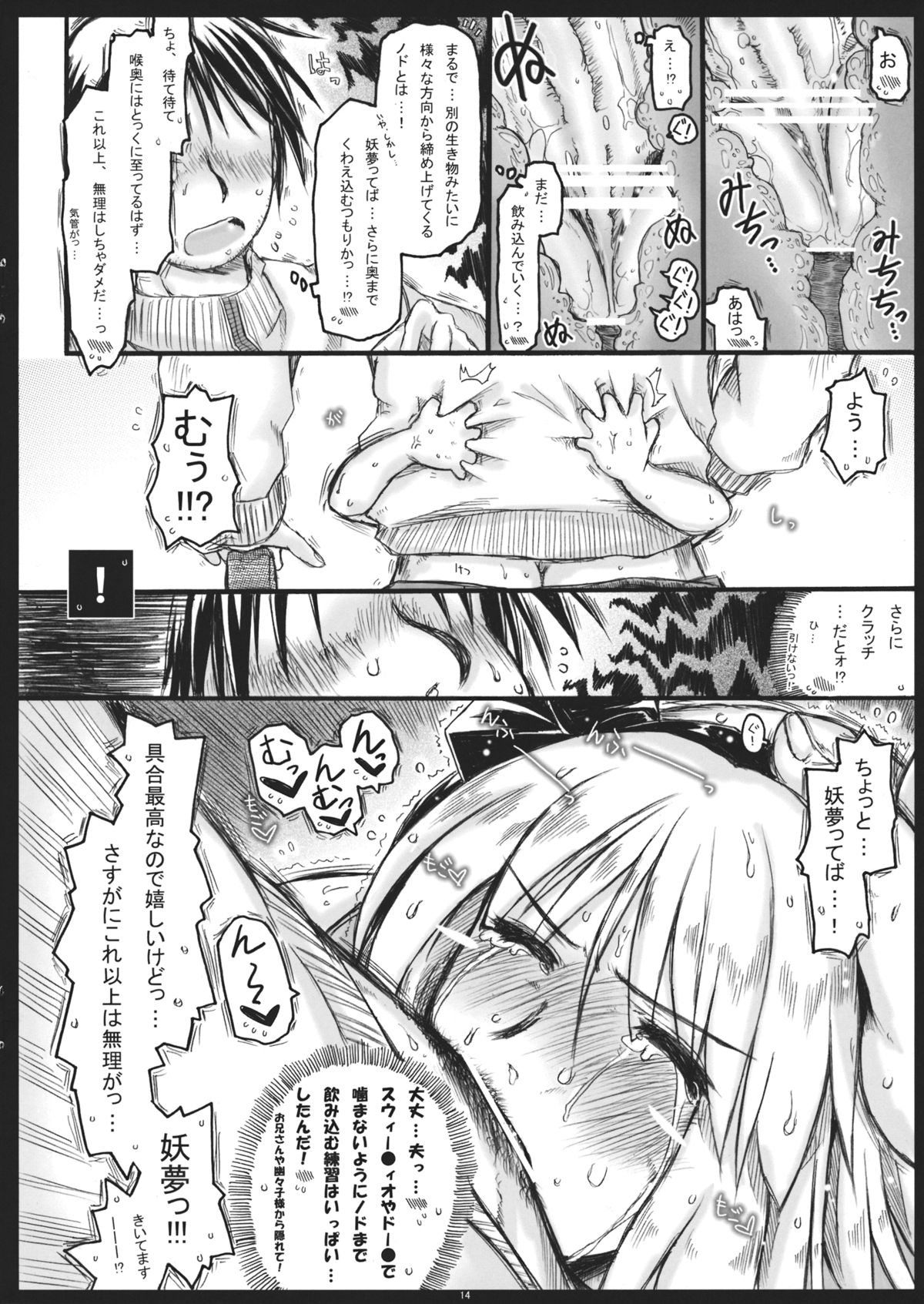 (Gensoukyou Summit) [Ankoku-Bousougumi (Ainu Mania)] Myon na Kayoizuma 5 Yome, Mui chai mashita. (Touhou Project) page 13 full