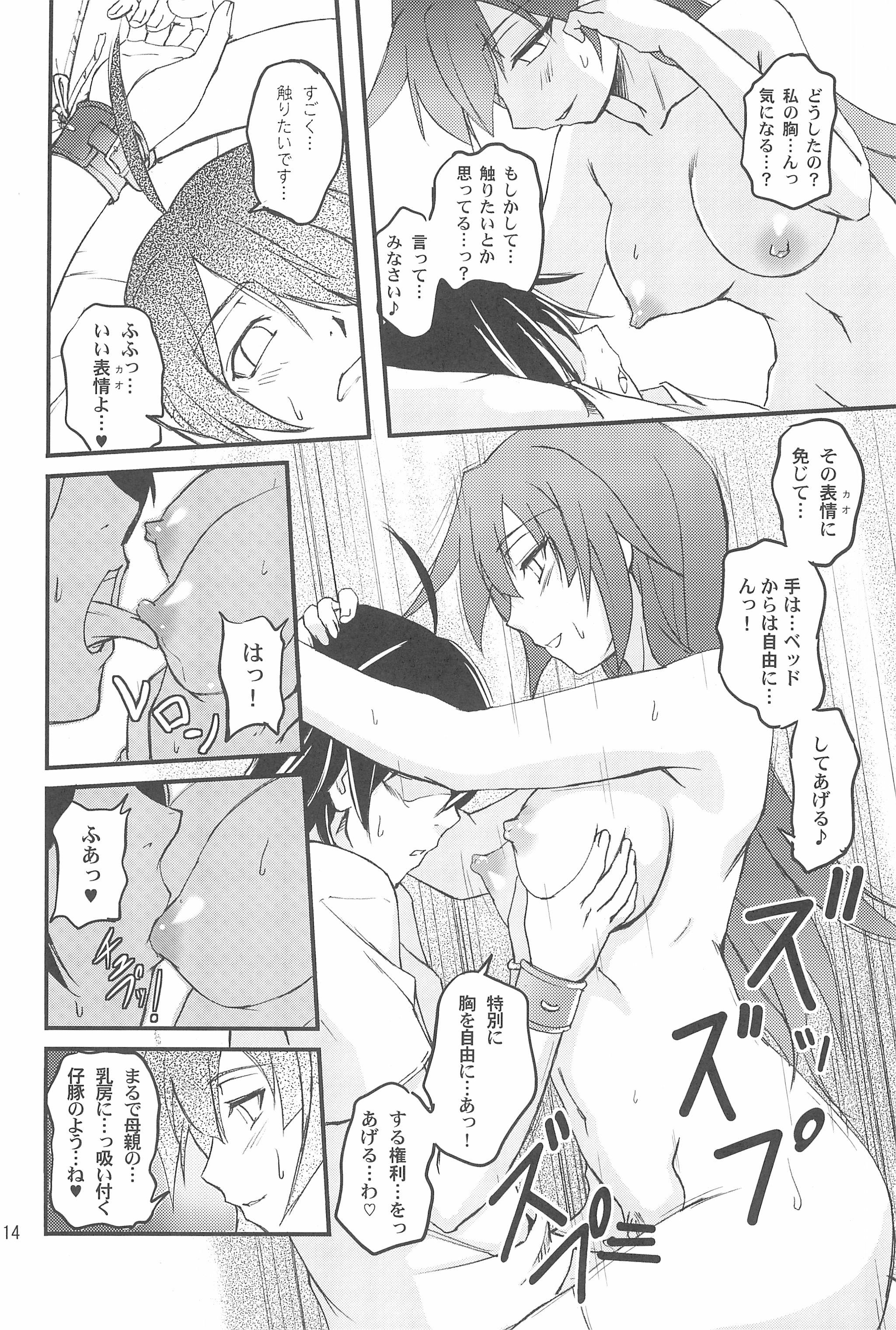 (C77) [Joukitei (Urase Shioji)] Zekka Bijin (Bakemonogatari) page 14 full