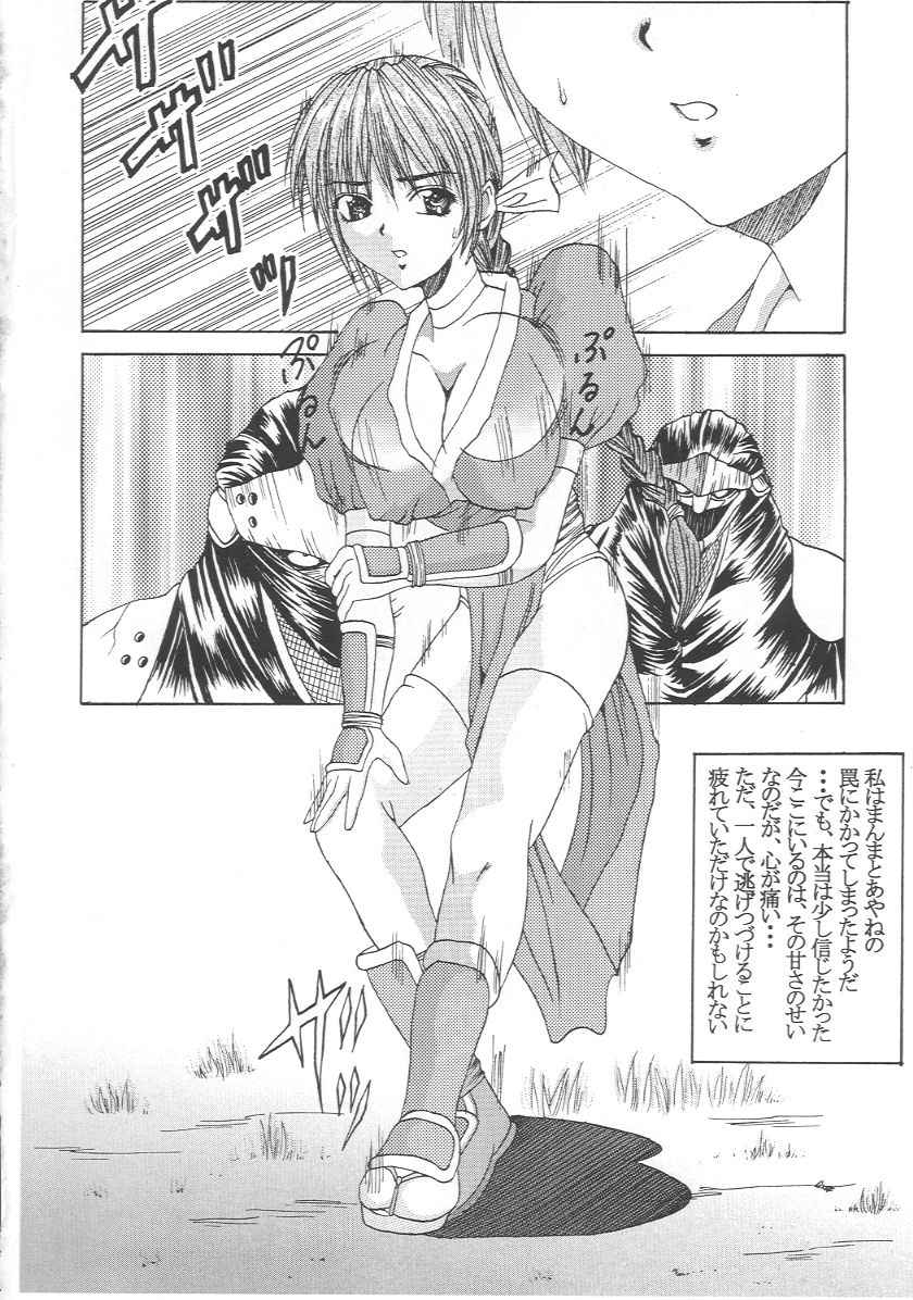 (CR27) [Abura Katabura (Papipurin)] Kasumi Jigoku Hen (Dead or Alive) page 5 full