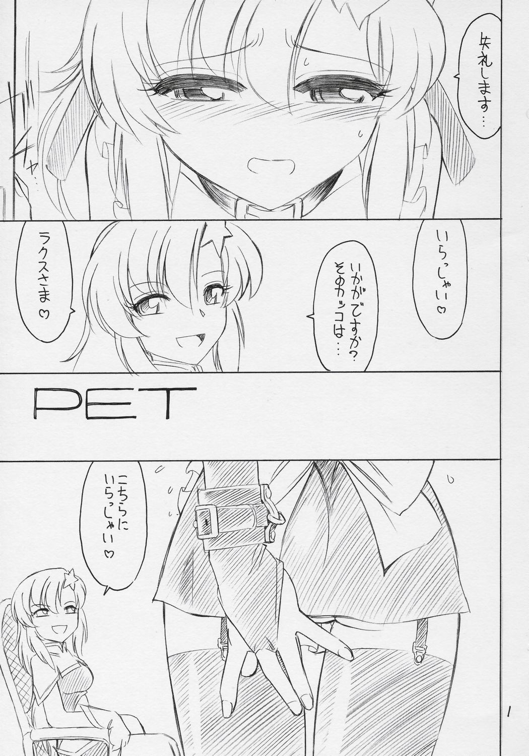 (C71) [EINSATZ GRUPPE (Charlie Nishinaka)] PRISONER 9 Pet (Mobile Suit Gundam SEED Destiny) page 2 full