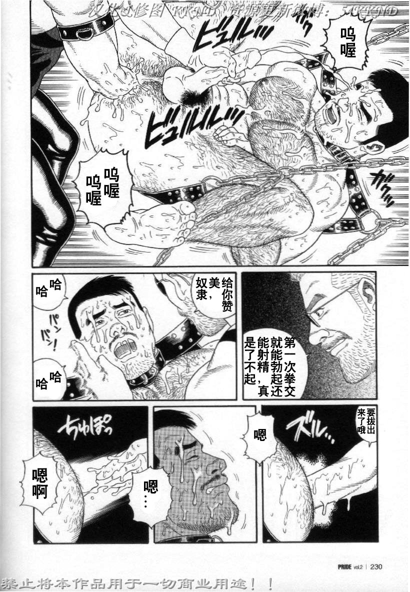 [Tagame Gengoroh] PRIDE Vol. 2 [Chinese] page 223 full