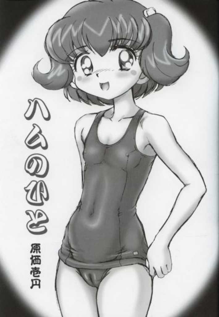 (C61) [Nipopo Crisis (Genka Ichien)] Tottoto Hametarou - Otoko-you (Tottoko Hamtaro) page 6 full