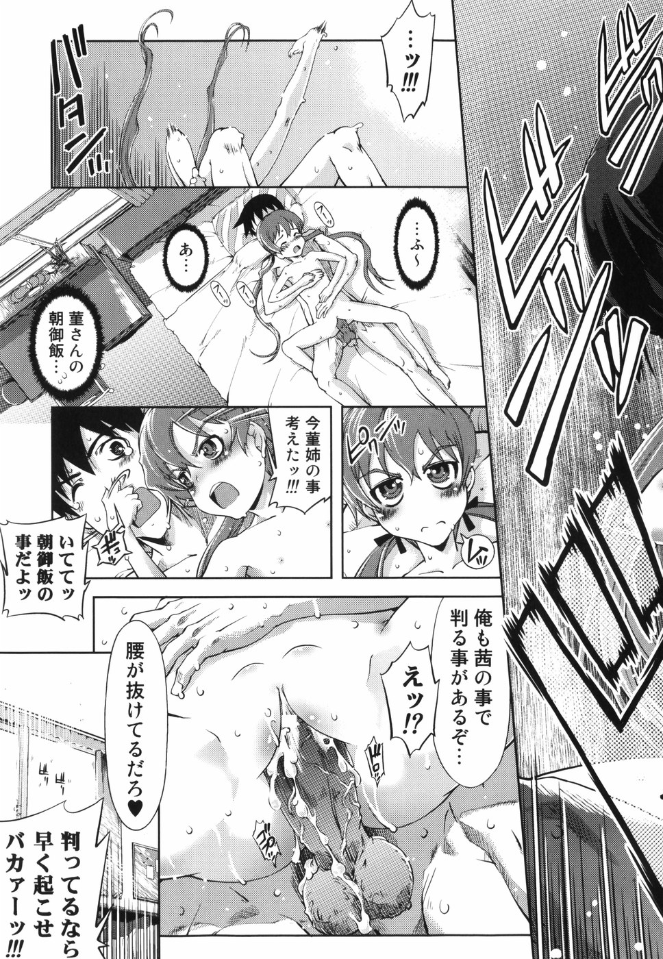 [Suzuki Kyoutarou] Mahou Oshiemasu!! - The Spell of Ten Fingers page 215 full