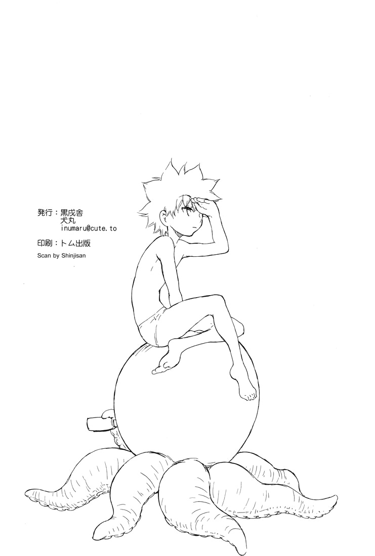 (C75) [kuro inu sha (Inumaru)] Nangoku Battle Royale (Hunter x Hunter) page 17 full