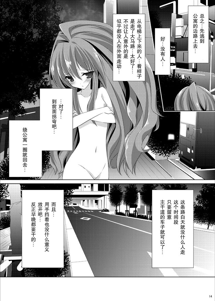 [Mint Chocolate (Himuro Kouichi, Raw)] Roshutsu Shoujo Tora (Toradora!) [Chinese] [匿名无名汉化] [Digital] page 14 full