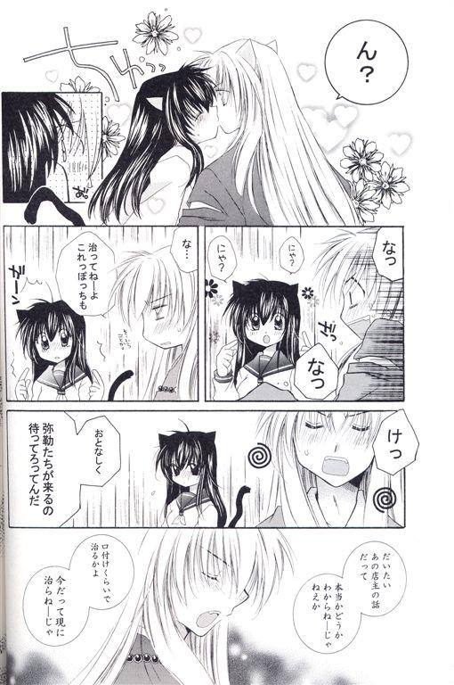 [Sakurakan (Seriou Sakura)] Neko Moe (Inuyasha) page 13 full