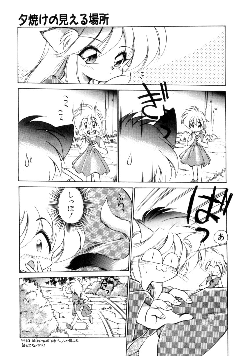 [Ebi Fly] Mainichi ga Wonderland page 156 full