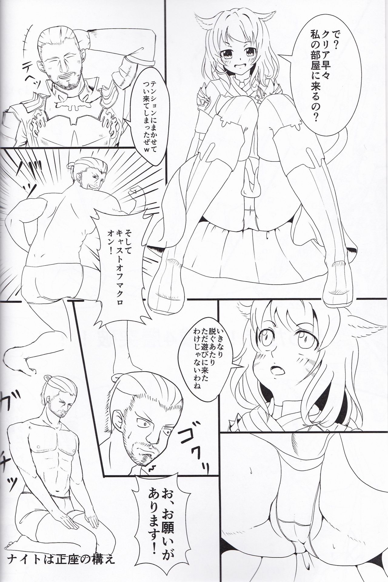 (C88) [Akagumotei (Akadume)] Lotto Rule wa NEED nomi (Final Fantasy XIV) page 3 full
