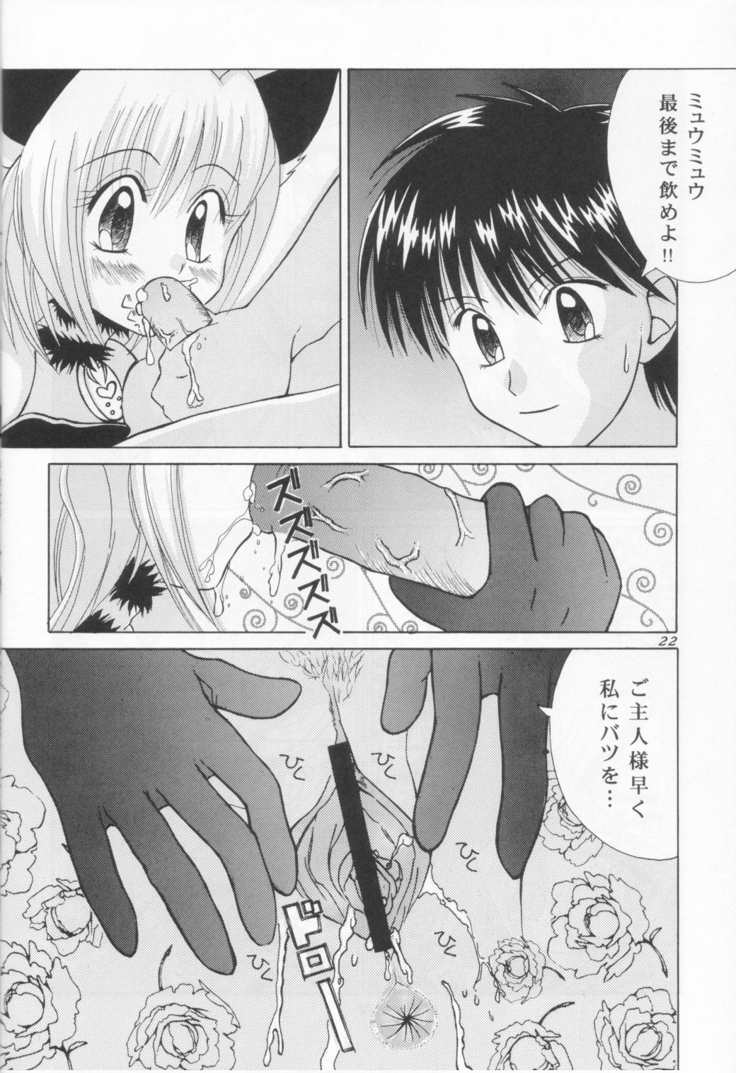 [Genki Honpo (Daifuku Keiji, Saranoki Chikara)] Tokyo Nekomusume (Tokyo Mew Mew) page 21 full