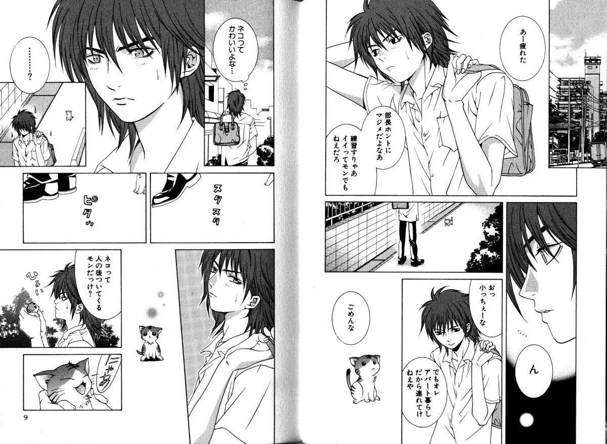 Akana Meiko - Nekokan page 7 full